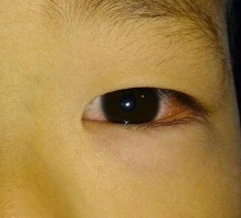 t02200199_0399036112992640516