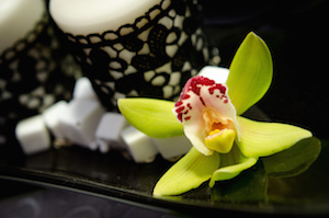 o0300019913353251523