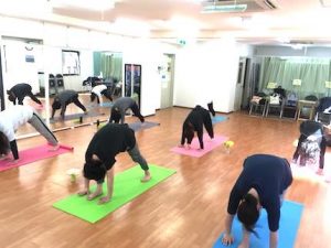 知力と引き換え失ったものを、ハタヨガは取り戻してくれます