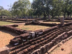 スリランカのアーユルヴェーダってどこから始まったの？