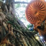 スリランカ・まとめ