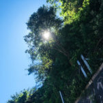 母娘、ヨガ講師として語り合う