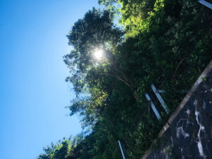 母娘、ヨガ講師として語り合う