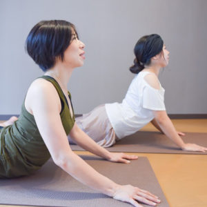 解説・ヨガの種類